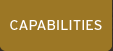 CAPABILITIES